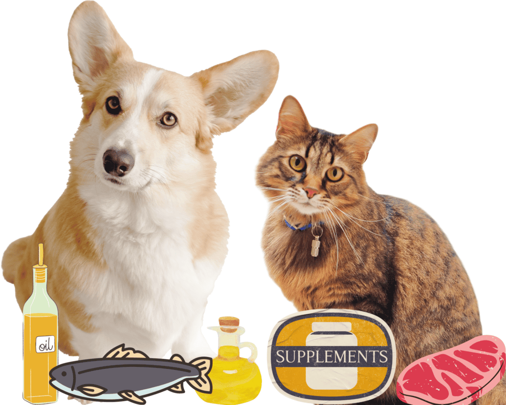 Dog and cat with pictures of supplements for pet arthritis.