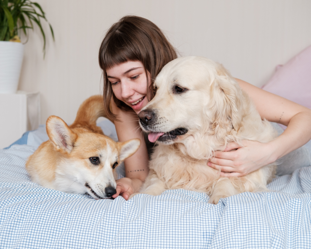 Woman holding and comforting her two dogs while lying on a bed.