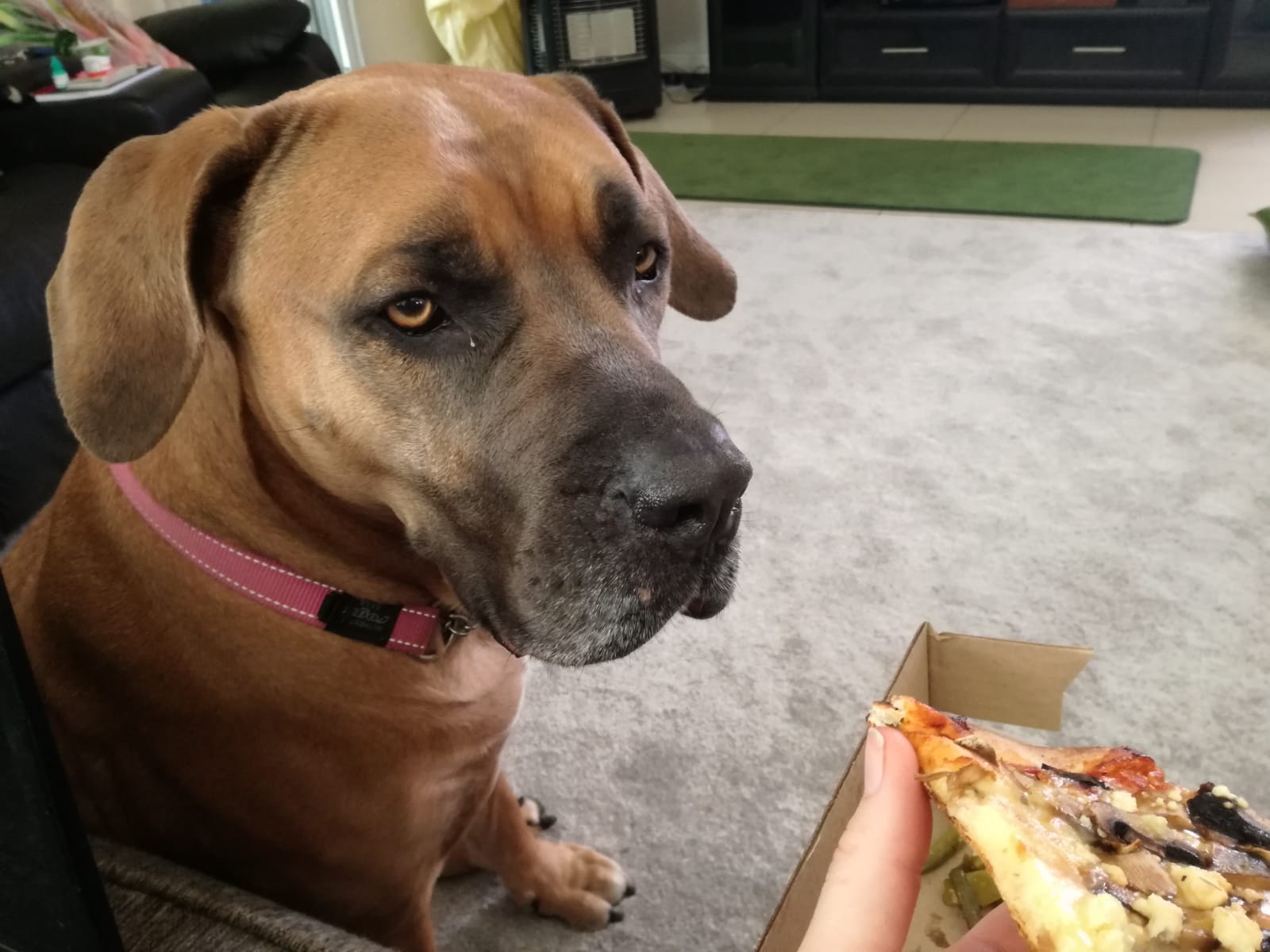 Berry was fed pizza and her favorite meals during her last months.