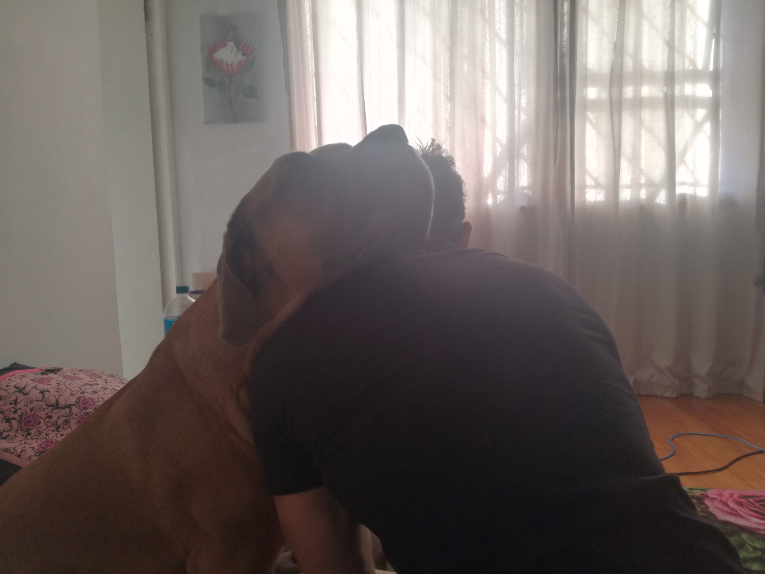 Open Your Heart Again – Coping with the Loss of a Pet